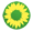 sonnenblume